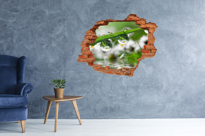3D wall hole Floral oasis with water drops