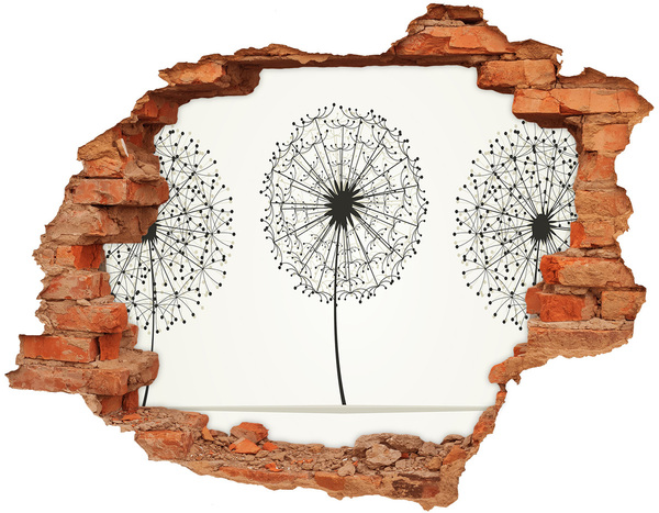 Hole wall sticker Dandelions against the wall