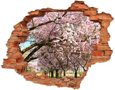 3D wall hole Blossoming cherry trees in the spring park