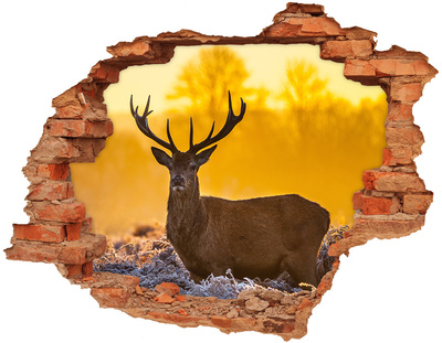 3D wall hole wallpaper Deer sunrise