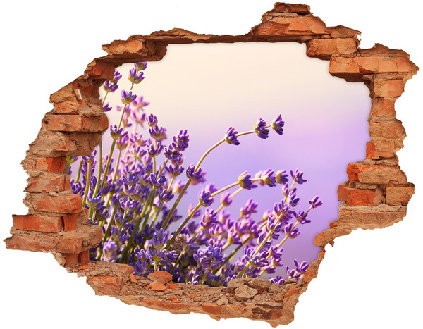 Hole in the wall sticker Lavender