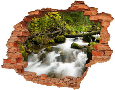 3D wall hole wallpaper Green stream in the forest
