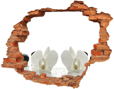 Hole in the wall decal Orchid