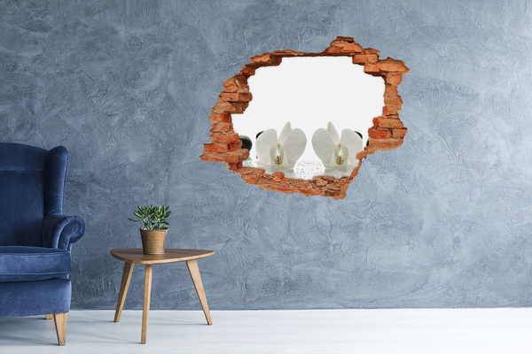 Hole in the wall decal Orchid