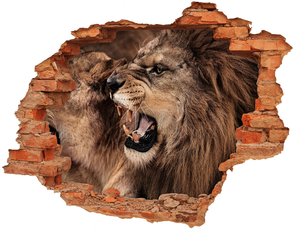 Hole in the wall decal Roaring lions