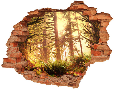 Hole in the wall decal A forest oasis in the sunshine