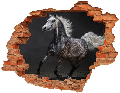 Hole in the wall sticker Gray Arabian horse