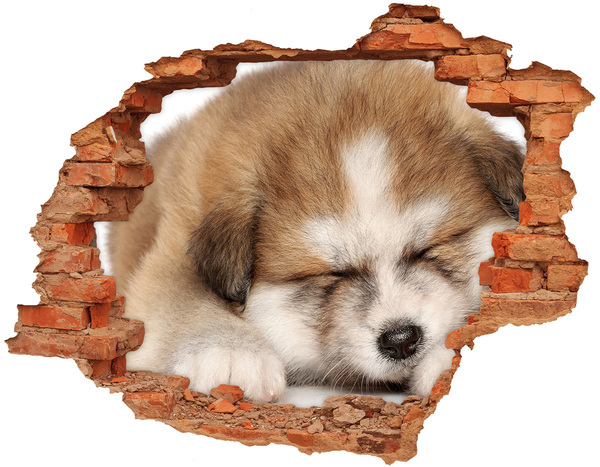 Hole in the wall sticker Cute Puppy in a Hole in the Wall