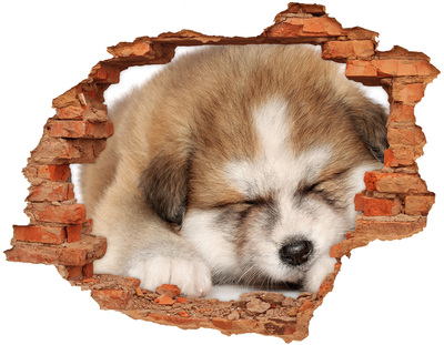 Hole in the wall sticker Akita puppy