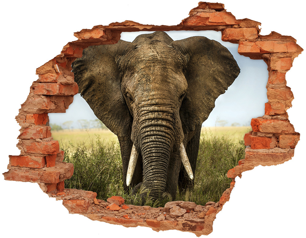 Hole wall sticker Elephant in the savanna