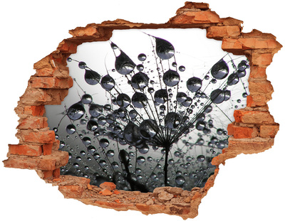 Hole wall sticker Water drops on a dandelion