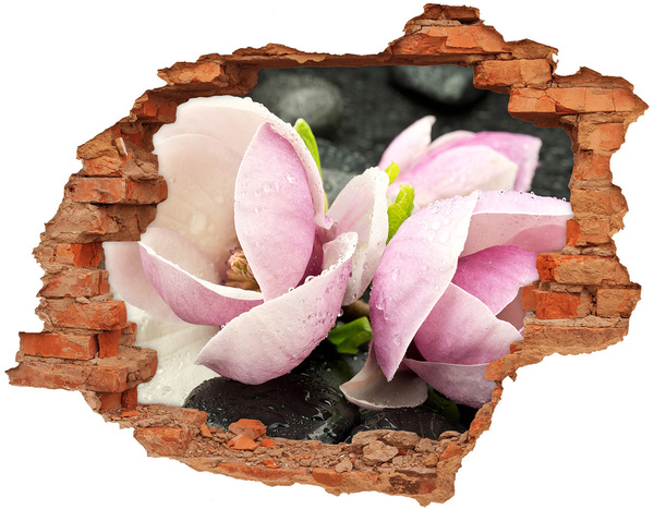 3D wall hole wallpaper Magnolia flowers through a hole in the wall