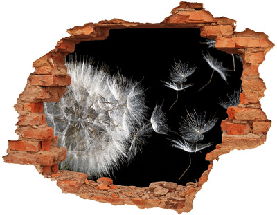 Hole wall sticker Dandelions in black space