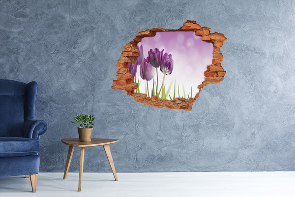 Hole wall sticker Fillet tulips