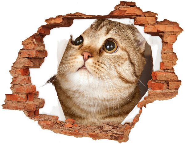 Hole in the wall sticker Cat in a hole in the wall