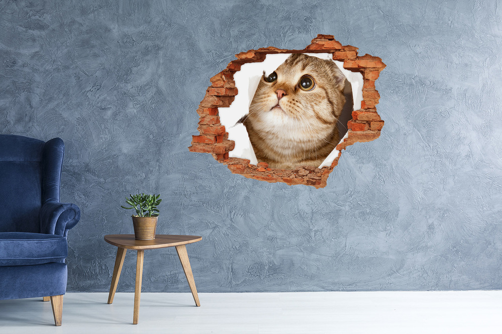 Hole in the wall sticker Cat