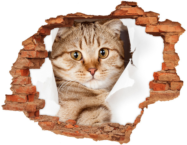 Hole in the wall sticker Cat in a hole in the wall