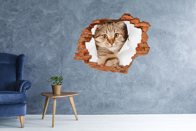 Hole in the wall sticker Cat in a hole in the wall