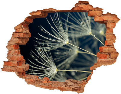 Hole in the wall decal Dandelion flowers in water