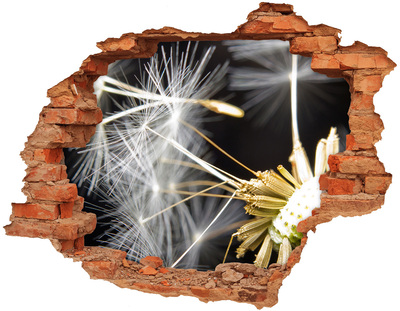 3D wall hole wallpaper Flower Dream Through a Hole in the Wall