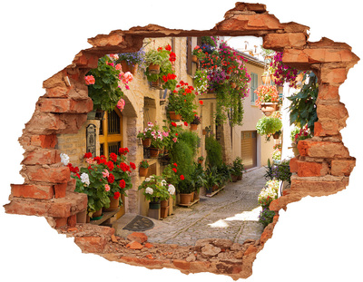 Hole in the wall sticker A charming street with flowers