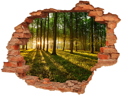 Hole in the wall decal Golden forest in the morning