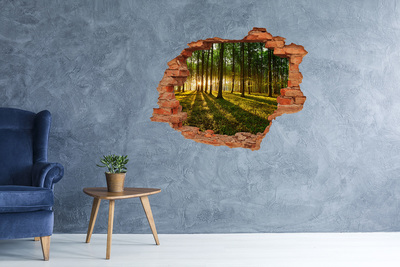 Hole in the wall decal Golden forest in the morning