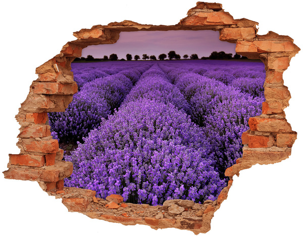 3D wall hole wallpaper A lavender field in full bloom