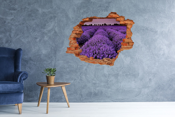 3D wall hole wallpaper A lavender field in full bloom