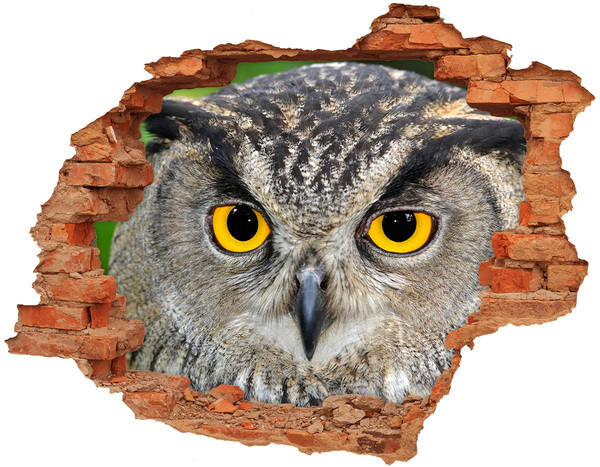 Hole wall sticker Owl in concrete