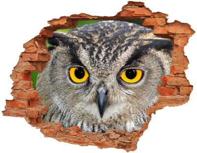 Hole wall sticker Owl in concrete