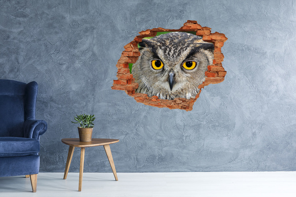Hole wall sticker Owl in concrete