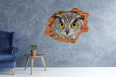 Hole wall sticker Owl