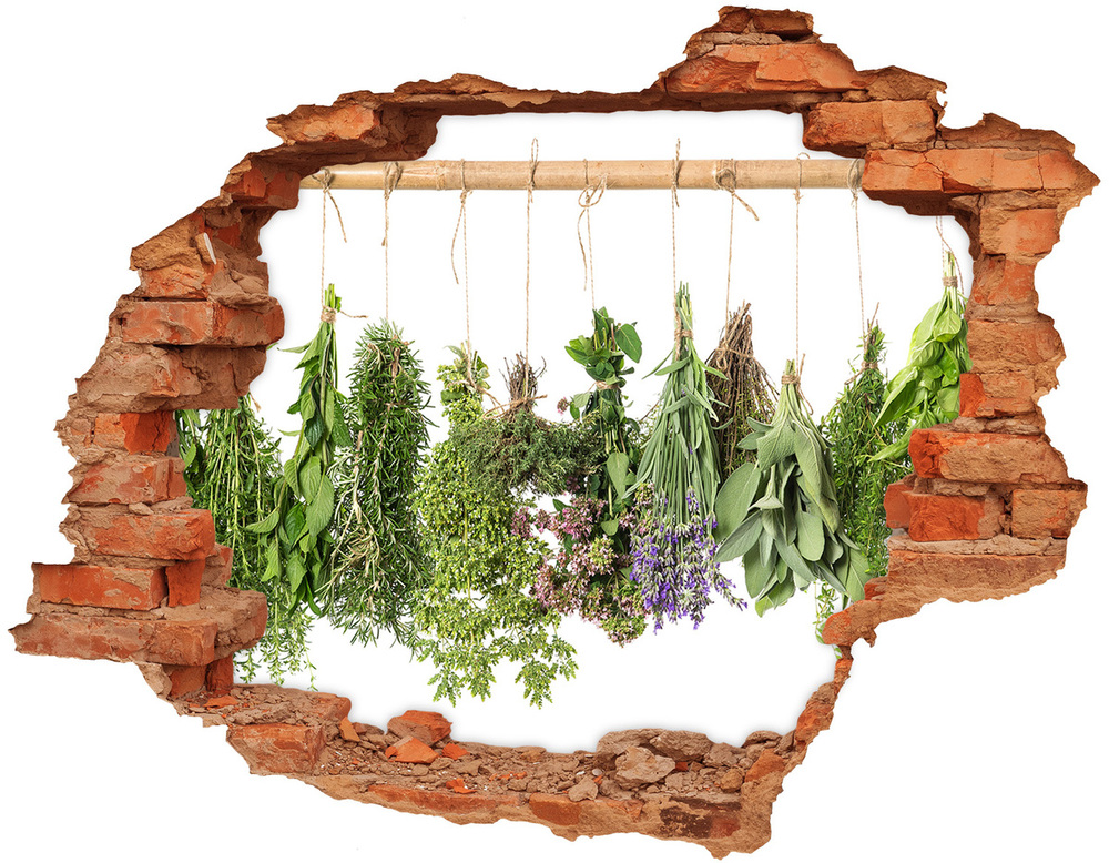 Hole wall sticker Herbs on a string