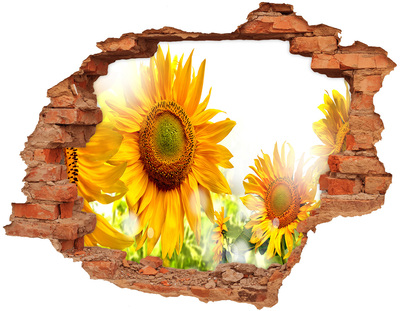 Hole in the wall sticker Sunflowers