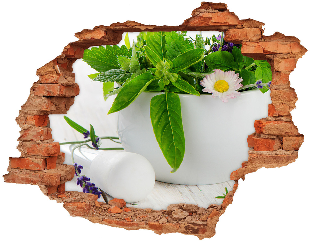 Hole in the wall sticker Mortar and herbs