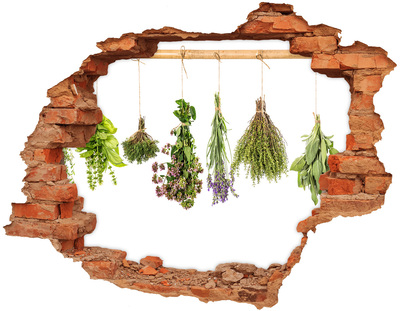 3D wall hole wallpaper Herbal corner in the kitchen