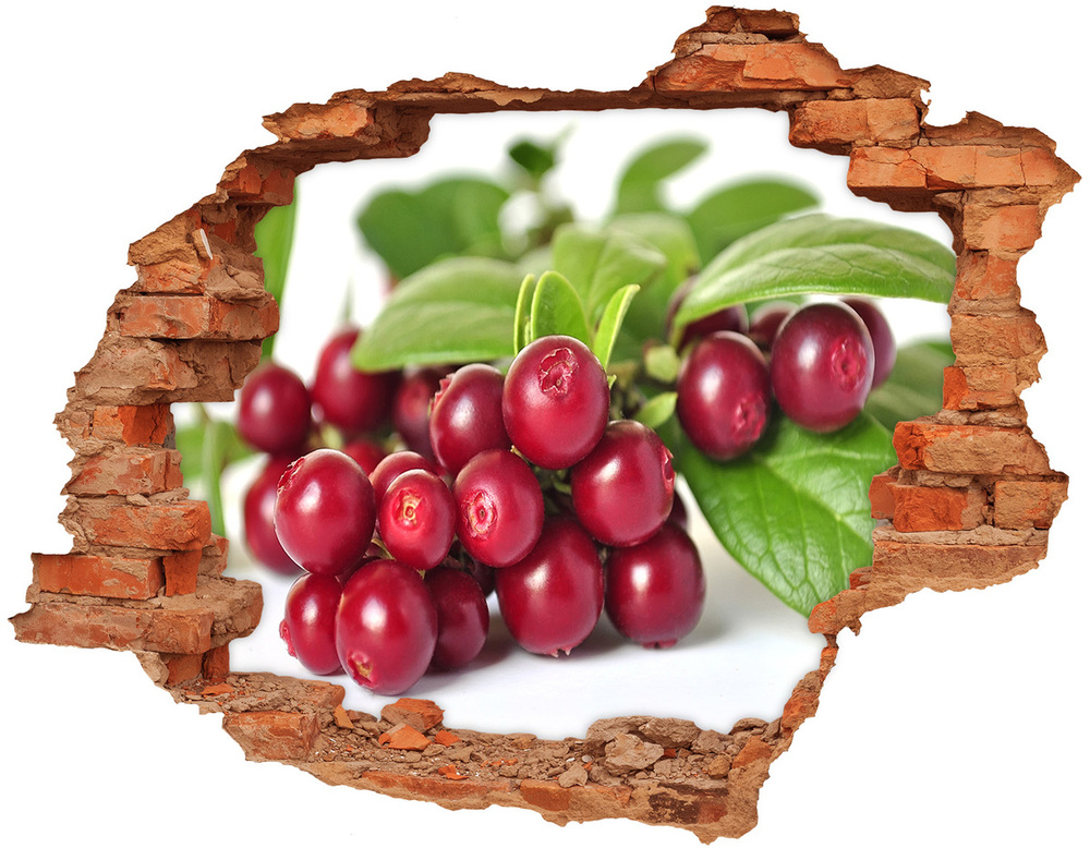 Hole in the wall decal Cowberry