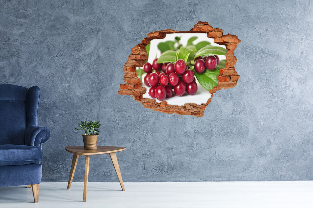 Hole in the wall decal Cowberry