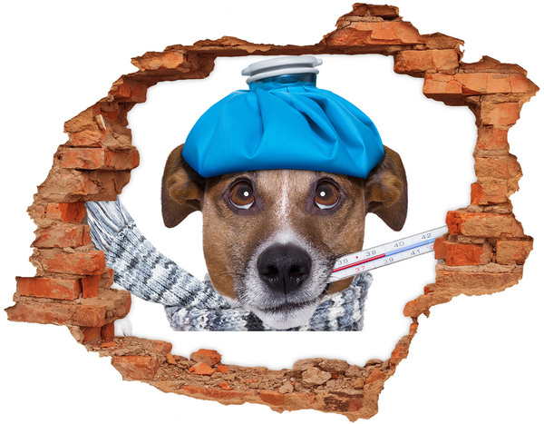 Hole in the wall sticker Sick dog in a hat