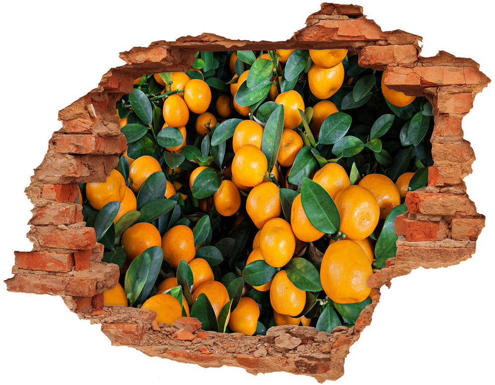 Hole wall sticker Tangerines