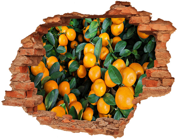 Hole wall sticker Fruit in the orange garden