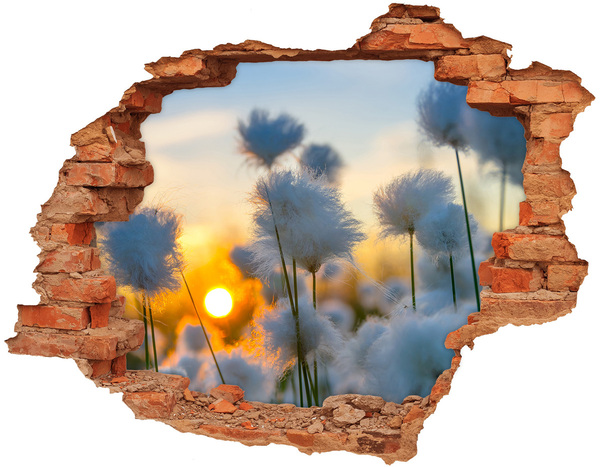 Hole wall sticker Flowers at sunset