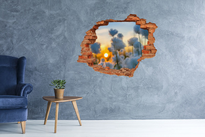 Hole wall sticker Flowers at sunset