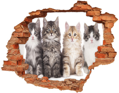 3D wall hole wallpaper Six cats