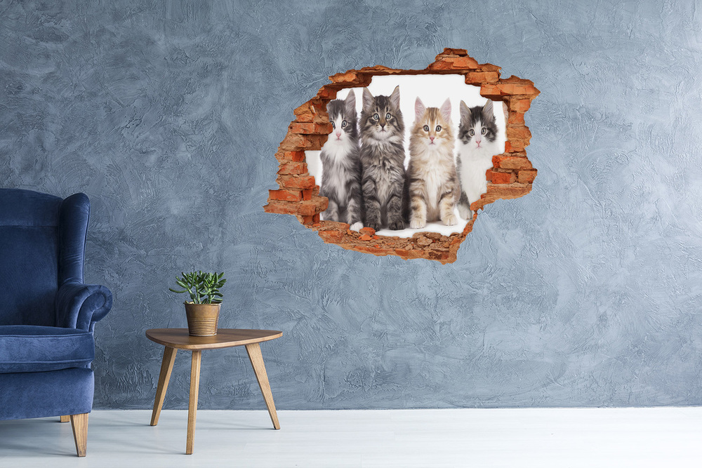 3D wall hole wallpaper Six cats