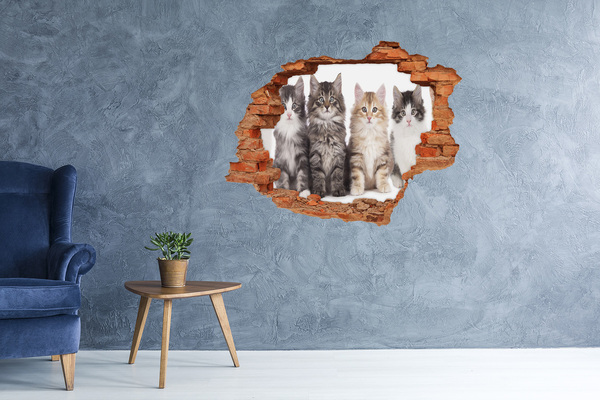 3D wall hole wallpaper Cats in a Hole in the Wall