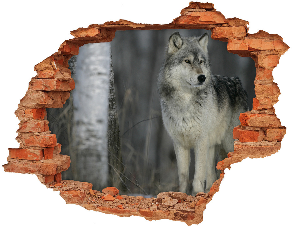 Hole in the wall sticker Gray wolf