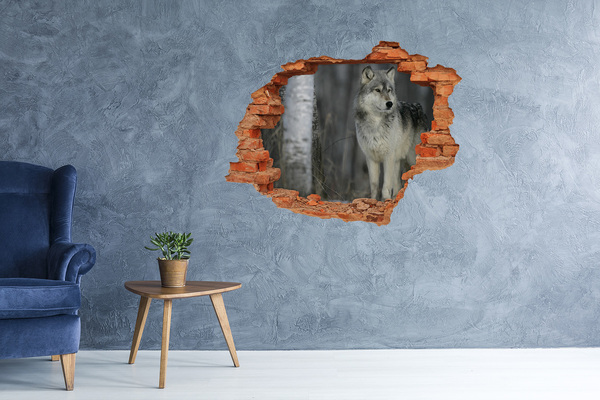 Hole in the wall sticker Gray wolf