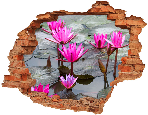 3D wall hole wallpaper Water flowers in the pond